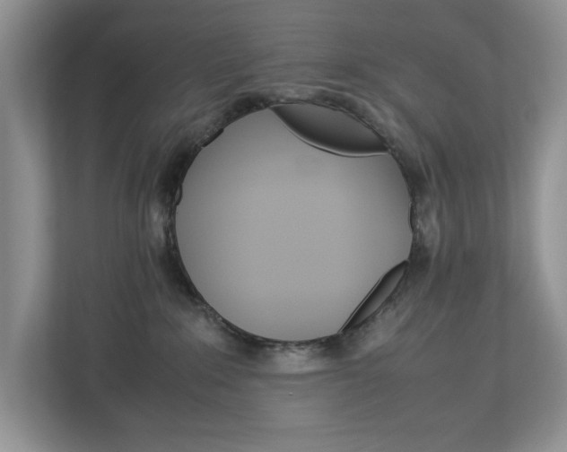 X0000113010235200908270946