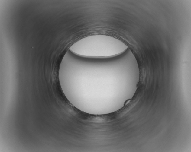 X0000113010236200908270946