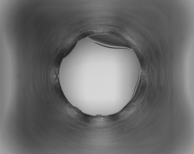 X0000113010237200908270946