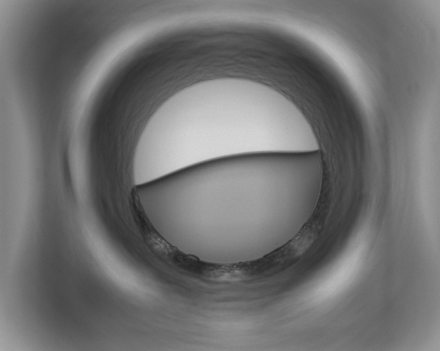 X0000113010239200908270946