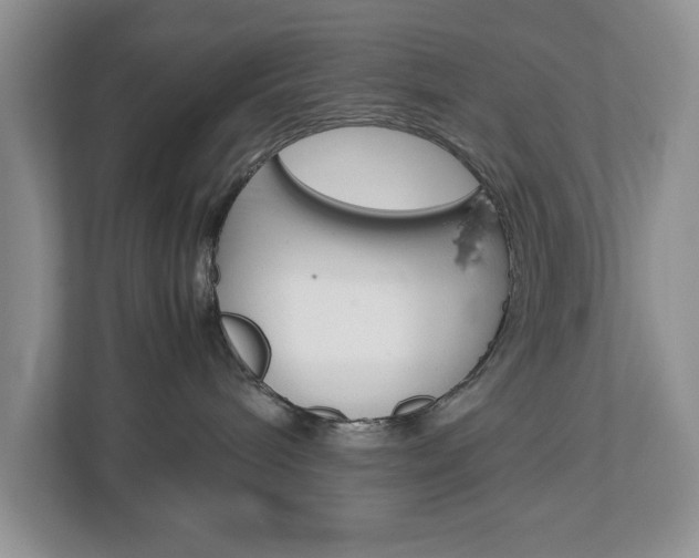 X0000113010240200908270946