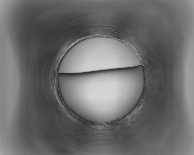 X0000113010241200908270945