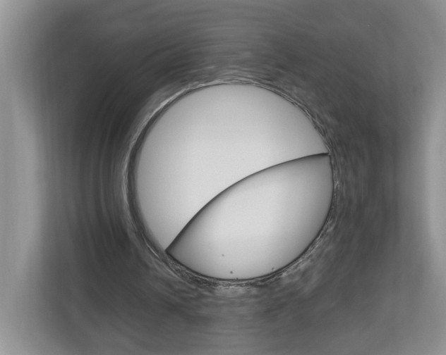 X0000113010242200908270945