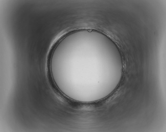 X0000113010248200908270945