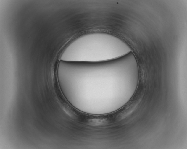 X0000113010251200908270945