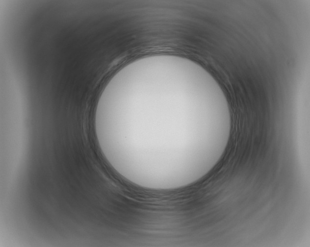 X0000113010260200908270945