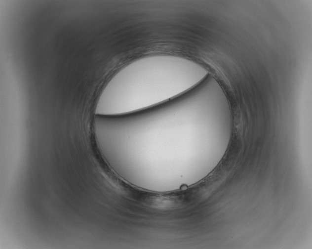 X0000113010261200908270945