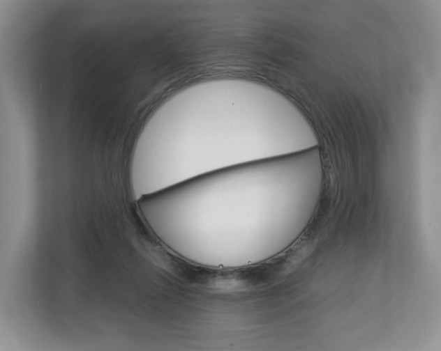 X0000113010262200908270945