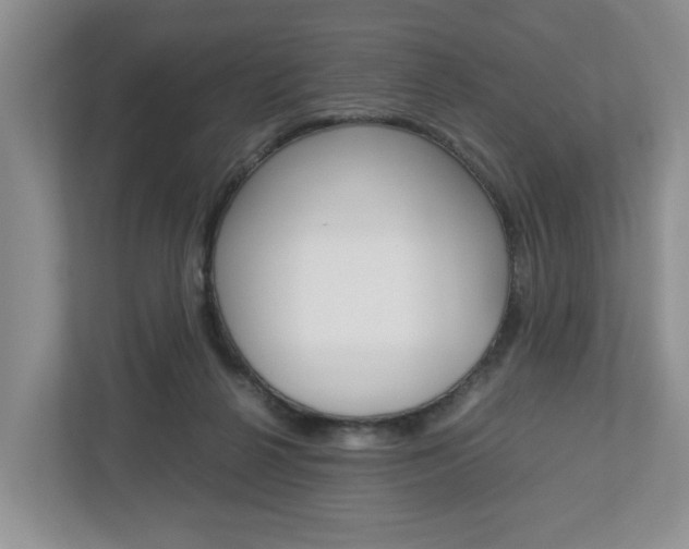 X0000113010264200908270945