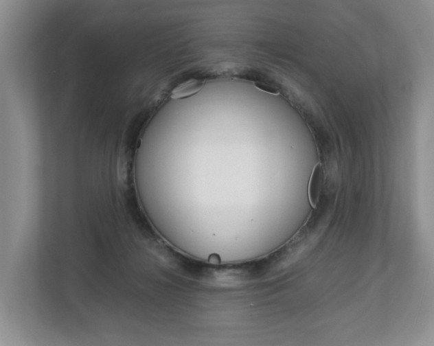 X0000113010268200908270945