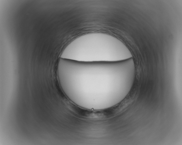 X0000113010270200908270945