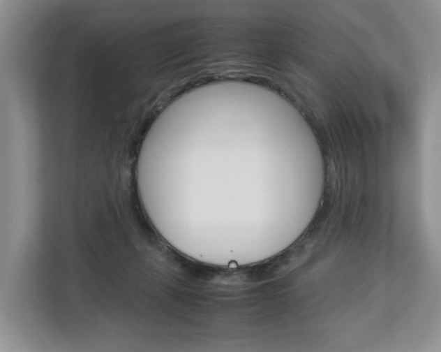 X0000113010271200908270946