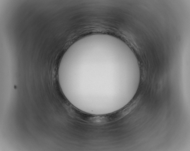X0000113010273200908270946