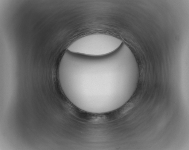 X0000113010274200908270946