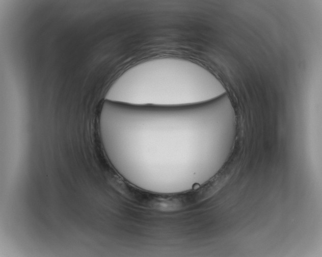 X0000113010275200908270946
