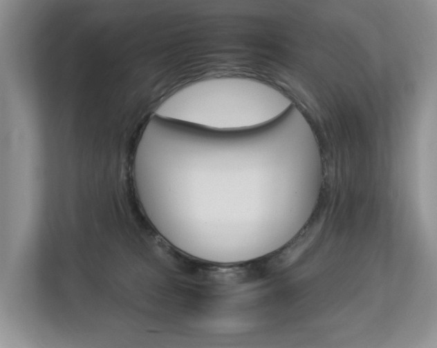 X0000113010277200908270946