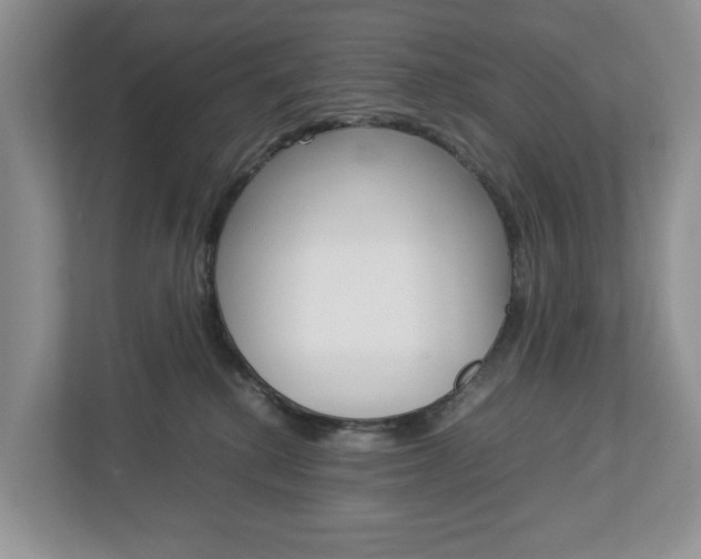 X0000113010280200908270946