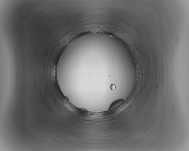 X0000113010288200908270946