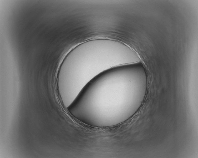 X0000113010289200908270945