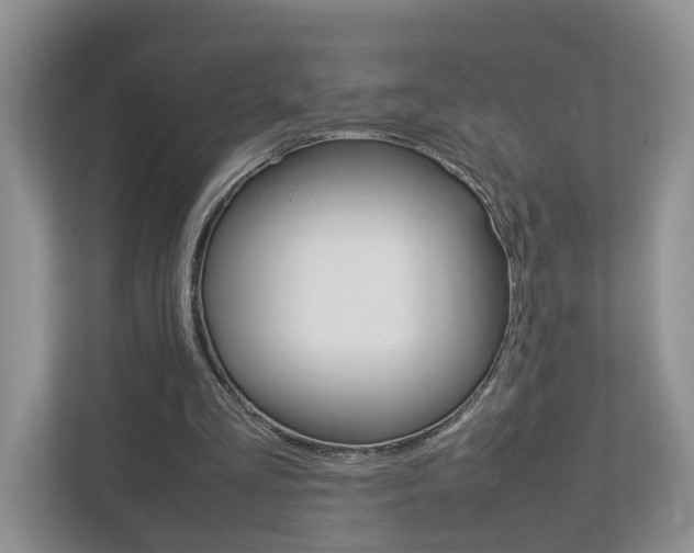 X0000113010293200908270945