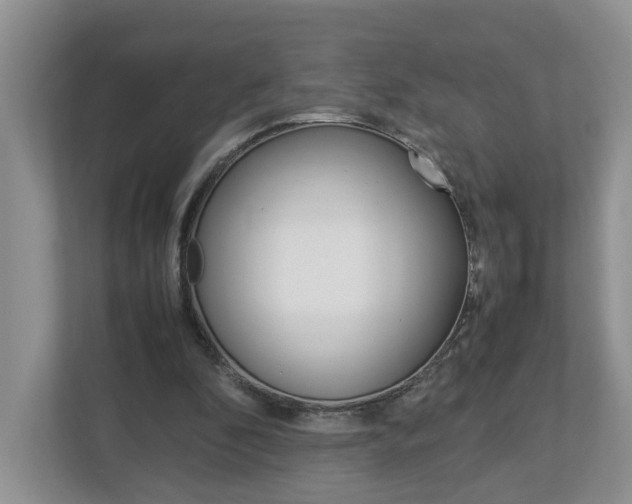 X0000113010296200908270945