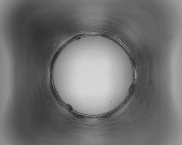 X0000113010301200908270945