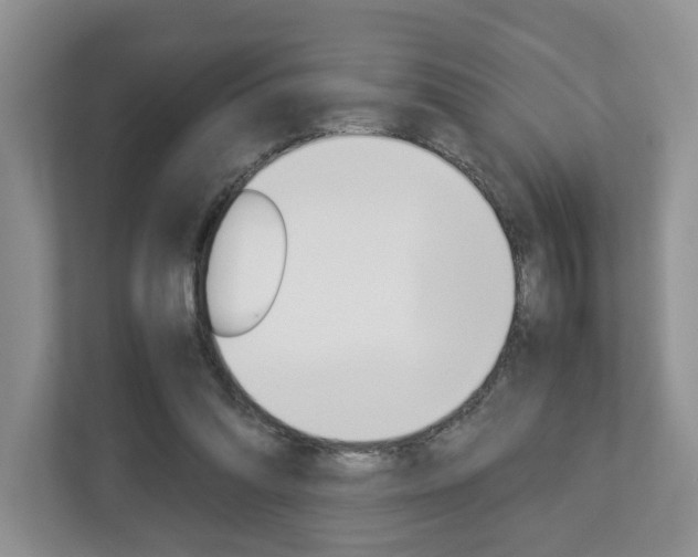 X0000113010302200908270945