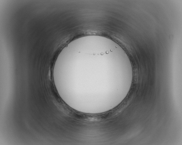 X0000113010310200908270945
