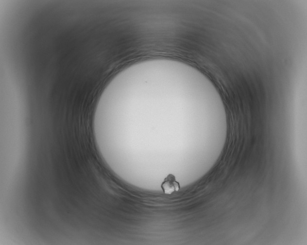 X0000113010312200908270945
