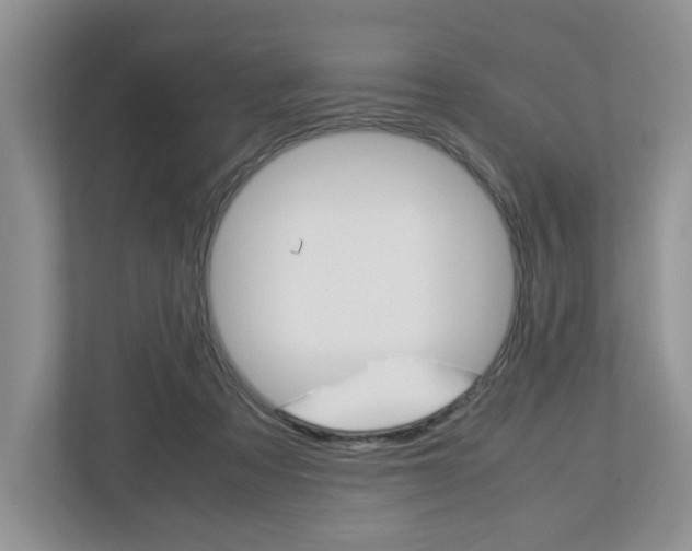 X0000113010313200908270945