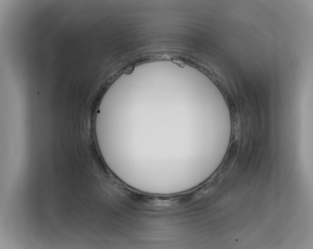 X0000113010314200908270945