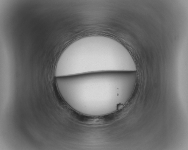 X0000113010319200908270945