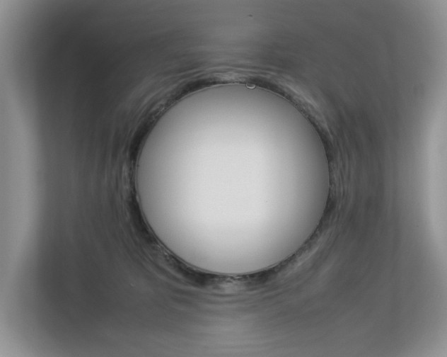 X0000113010325200908270945