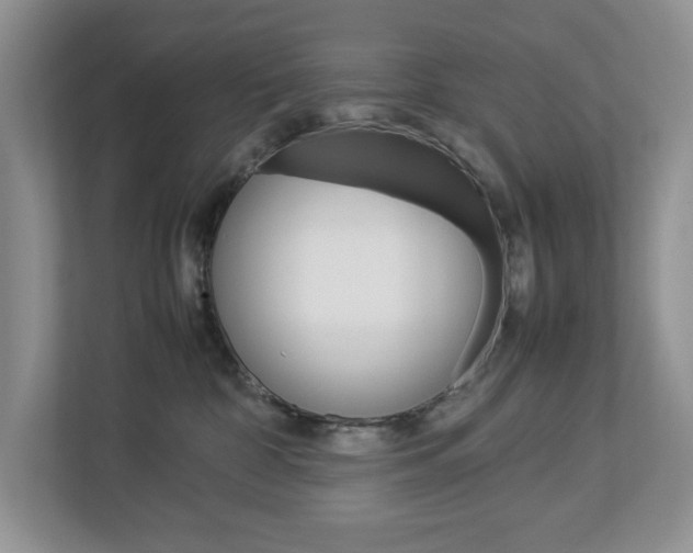 X0000113010332200908270945