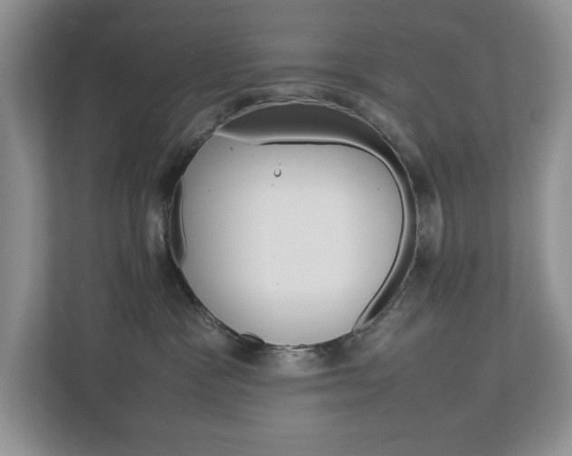 X0000113010333200908270945