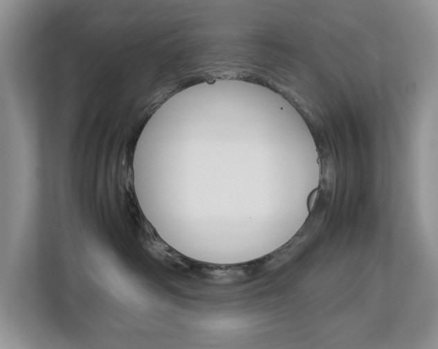 X0000113010334200908270945