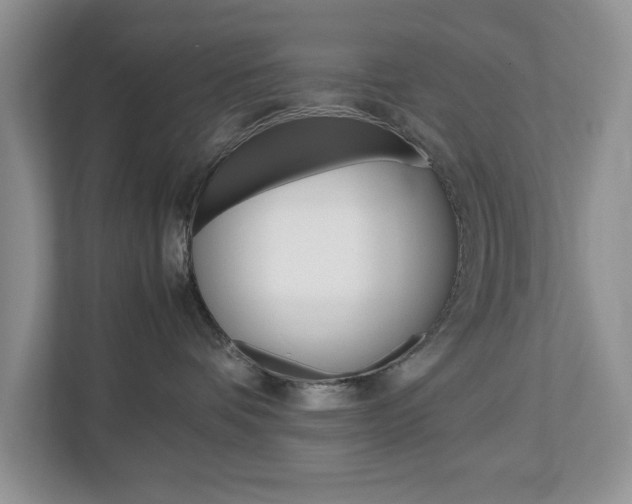 X0000113010336200908270944