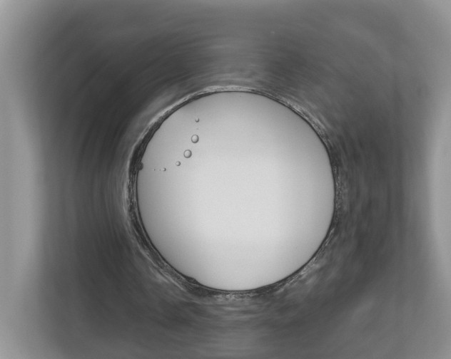 X0000113010338200908270944