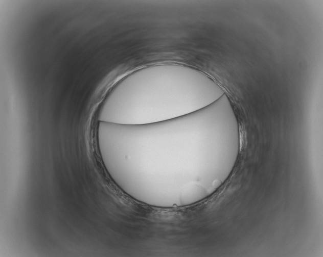 X0000113010339200908270944
