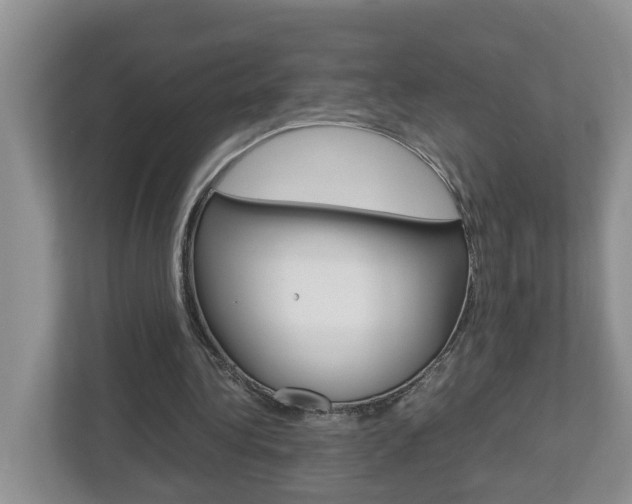 X0000113010340200908270944