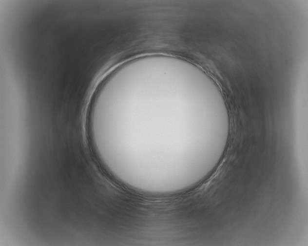 X0000113010344200908270944