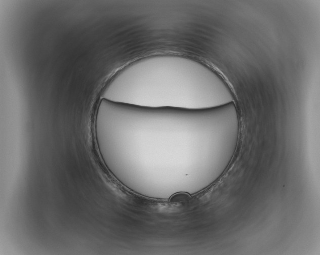 X0000113010345200908270944