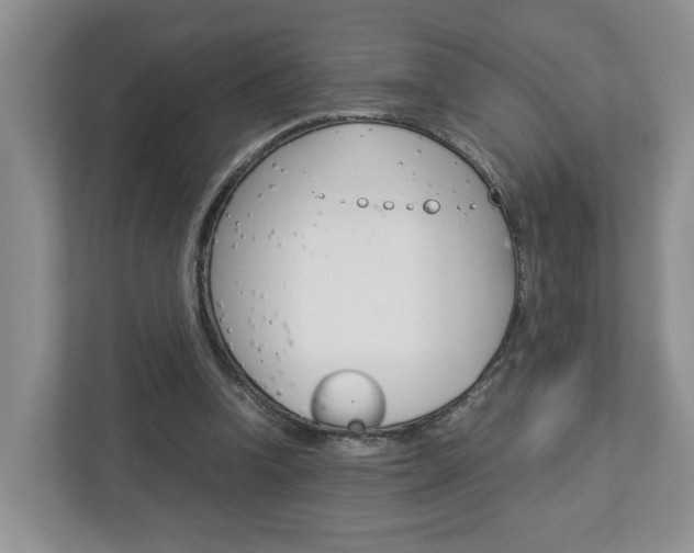 X0000113010346200908270944