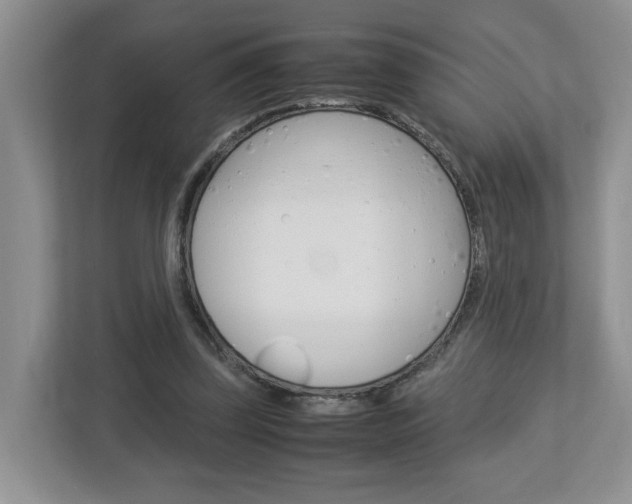 X0000113010347200908270944