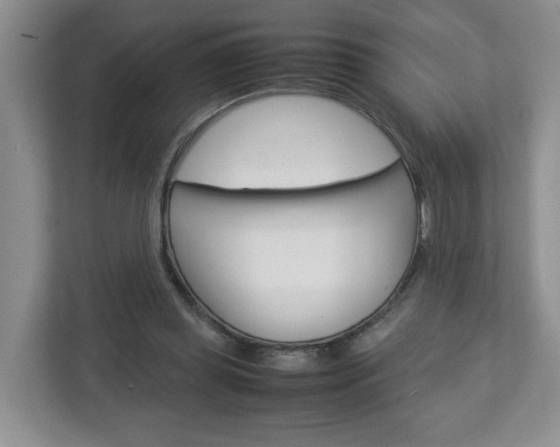 X0000113010349200908270944