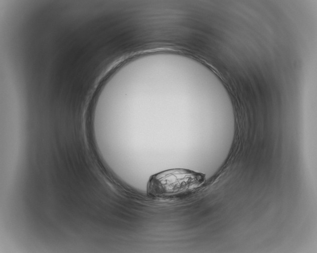 X0000113010350200908270944