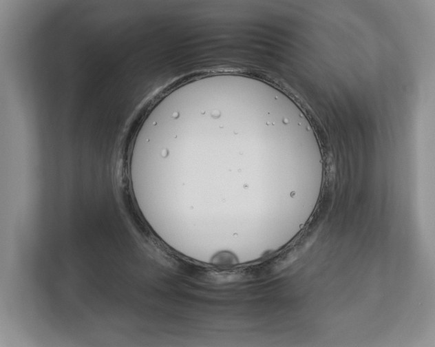 X0000113010351200908270944