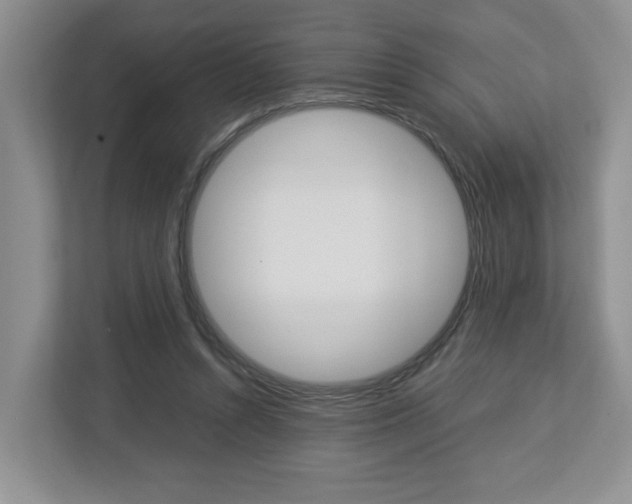 X0000113010352200908270944