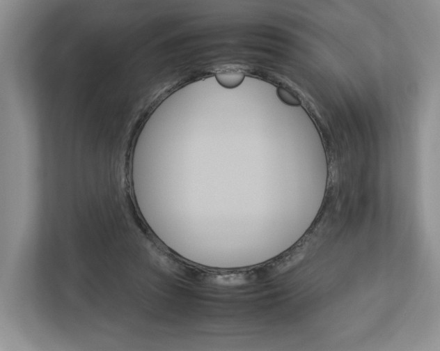 X0000113010353200908270944