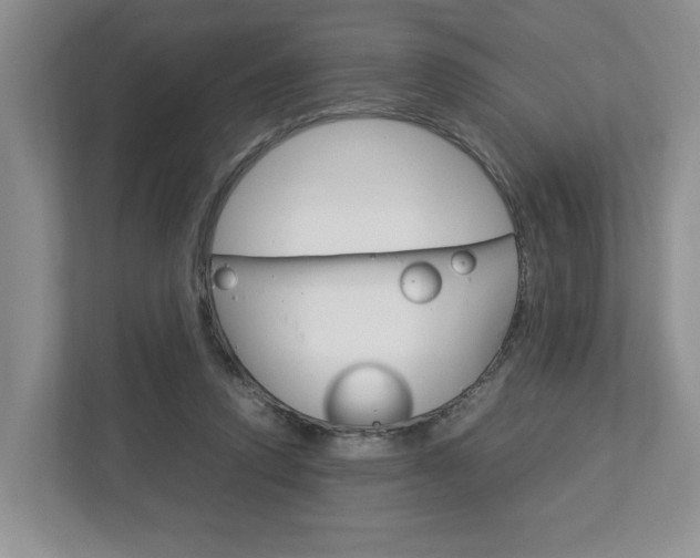 X0000113010354200908270944